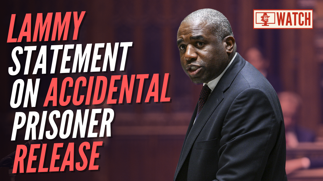 Lammy Delivers Commons Statement on Accidental Release of Migrant Sex Attacker – Guido Fawkes