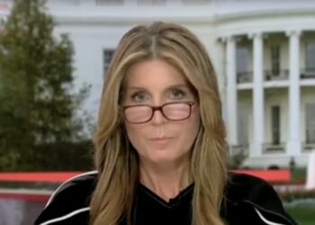 MSNBC’s Nicolle Wallace leads embarrassing pack of Dems who blamed the judge’s house fire on MAGA