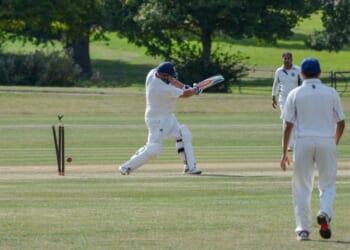 Malcolm Cupis: The Conservatives may have had a better than expected innings, but Reform just aren't playing cricket