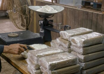 Massachusetts Dem Governor's Deputy Busted, Over 20 Kilos of Cocaine Seized [WATCH]