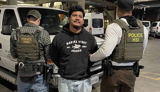 Member of Group That Ambushes ICE Vehicles With Rocks Arrested – Twitchy