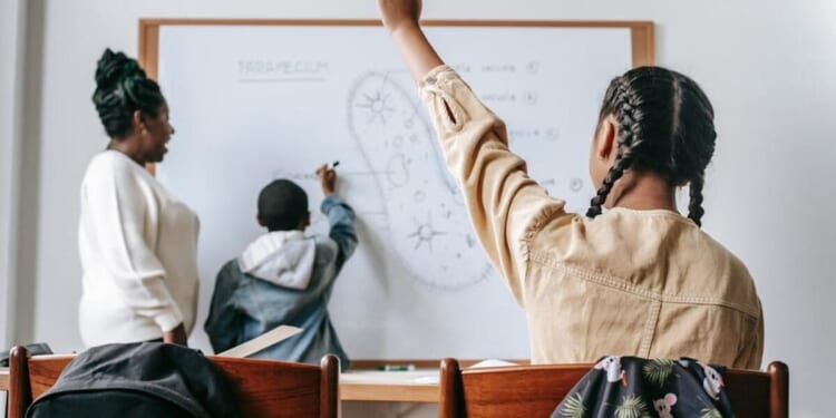 Minneapolis high schools under fire for teaching ‘all-Black’ classes