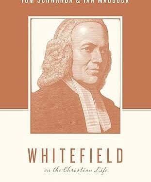 New birth to enjoy God