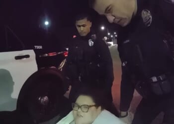Newly released footage showing arrest of ‘fat activist’ rabble-rouser explains A LOT