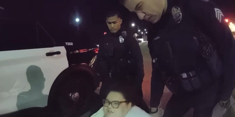 Newly released footage showing arrest of ‘fat activist’ rabble-rouser explains A LOT