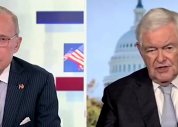 Newt Gingrich, Larry Kudlow Say Democrats ‘Engaged In Insurrection’ By Resisting Trump Admin Immigration Enforcement