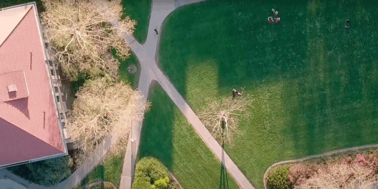 Oberlin Students Revive Criminal Anti-Israel Protests, Police Respond | The American Spectator