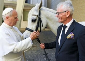 Pope Leo gifted with "Proton" a purebred Arabian horse