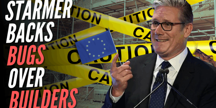 Rejoiner Starmer Extending EU Laws Blocking Houses Over Spiders and Birds – Guido Fawkes