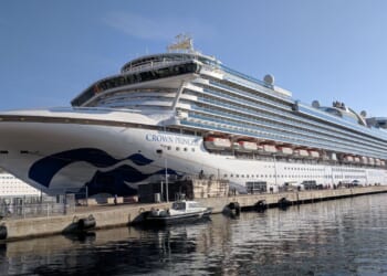 Search Underway After Cruise Crew Member Goes Overboard in the Mediterranean [WATCH]