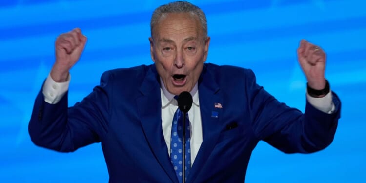 Sen. Chuck Schumer Told a Whopper So Big Even CNN Fact Checked Him On It [WATCH]