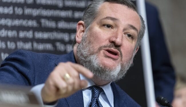 Sen. Ted Cruz Has Some Choice Words After Chuck Grassley's Revelations About Him Being Spied On – Twitchy