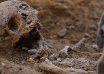 Skeletons Found In Ancient Well May Be Roman Soldiers From ‘Age Of Anarchy’