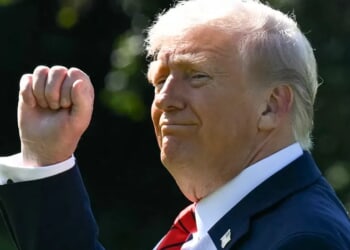 Suspicious Hunting Stand With Direct Line Of Sight To Trump Found Near Palm Beach Airport