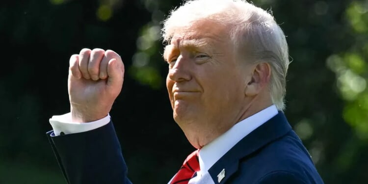 Suspicious Hunting Stand With Direct Line Of Sight To Trump Found Near Palm Beach Airport