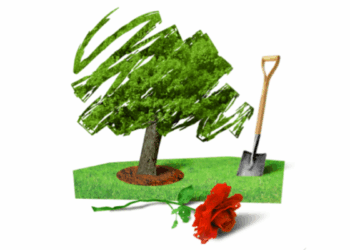 Tommy Birch: The future of conservatism lies with local associations