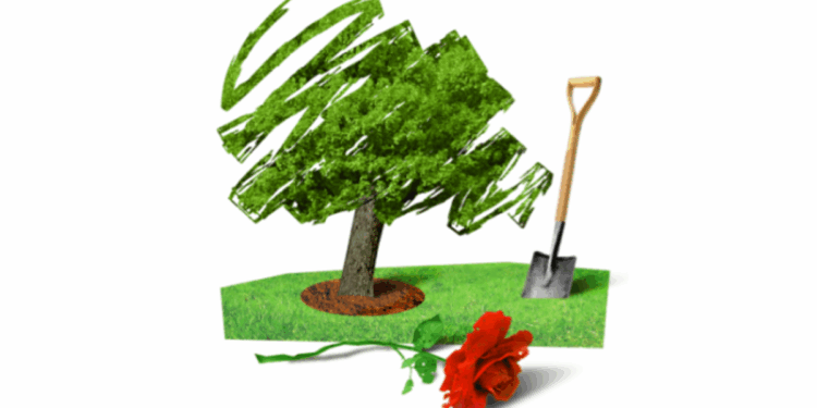 Tommy Birch: The future of conservatism lies with local associations