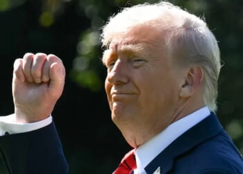 Trump Wants His ‘Ukraine Impeachment’ Investigated