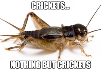 Scott Jennings Renders Anti-Trump CNN Panel SPEECHLESS With Straight-Fire Defense of Iran Strikes (Watch) – Twitchy