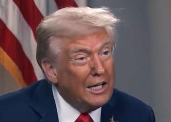 Trump’s war on ‘illegal DEI’ leaves diversity industry in ruins, data shows