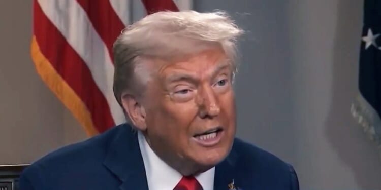 Trump’s war on ‘illegal DEI’ leaves diversity industry in ruins, data shows