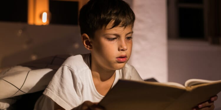 Virginia Lt. Gov. Candidate Says She Doesn’t 'Really Care' About Sexually Explicit Books in Schools [WATCH]