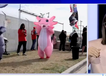 Watch Jessica Tarlov Explain ‘Intellectual’ Benefits Of Dressing Up As Inflatable Animal To Protest ICE