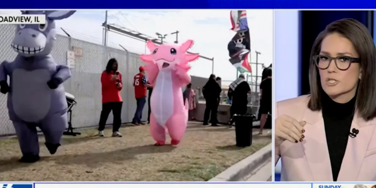 Watch Jessica Tarlov Explain ‘Intellectual’ Benefits Of Dressing Up As Inflatable Animal To Protest ICE