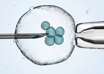 What is the Catholic Church’s position on IVF?