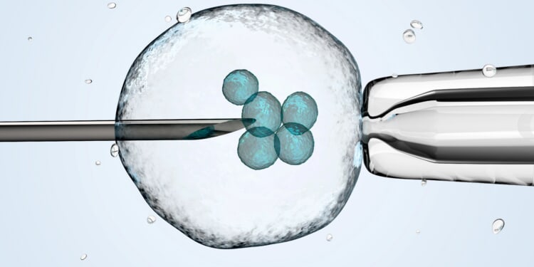 What is the Catholic Church’s position on IVF?