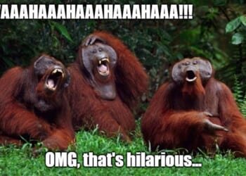 White House Memes Trigger Aaron Rupar's Hilariously Entertaining Rage on X – Twitchy