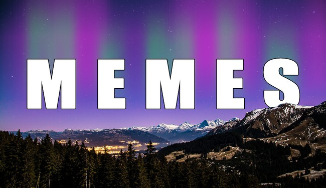 Will Stancil Launches a Viral Meme Storm Over White House Renovations – Twitchy