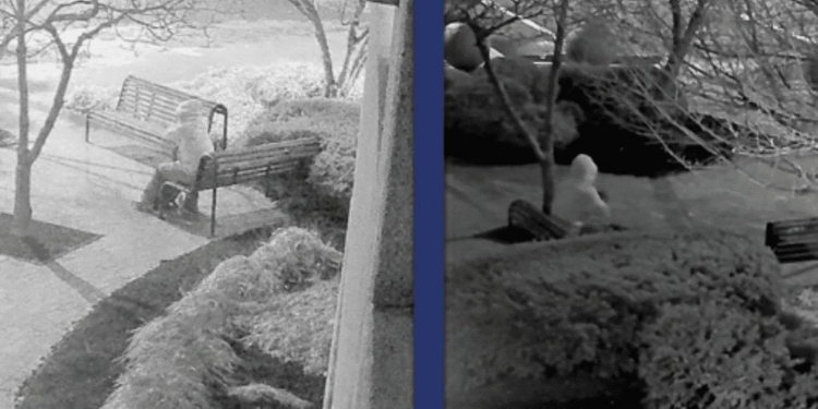 X users react to new FBI footage of suspect who planted bombs near DNC, RNC