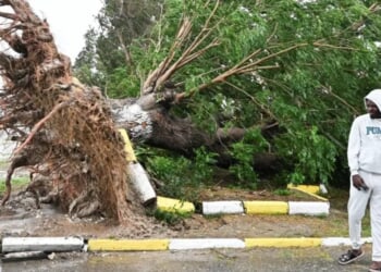 ‘Almost Every Roof’ Blown Off In Black River As Hurricane Melissa Slams Jamaica With 185 MPH Winds