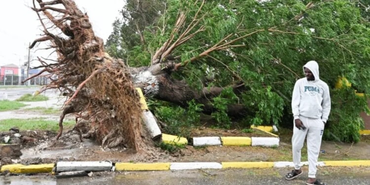 ‘Almost Every Roof’ Blown Off In Black River As Hurricane Melissa Slams Jamaica With 185 MPH Winds