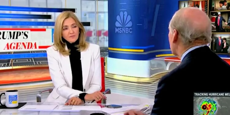 ‘Could Not Have Gone Better’: MSNBC Guest Praises Trump’s Trip To Japan