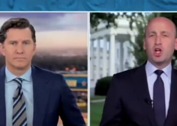 ‘Democrat-Caused’: Stephen Miller Goes Off On Newsom Handing Out CDLs To Illegals, Following Horrific Crash