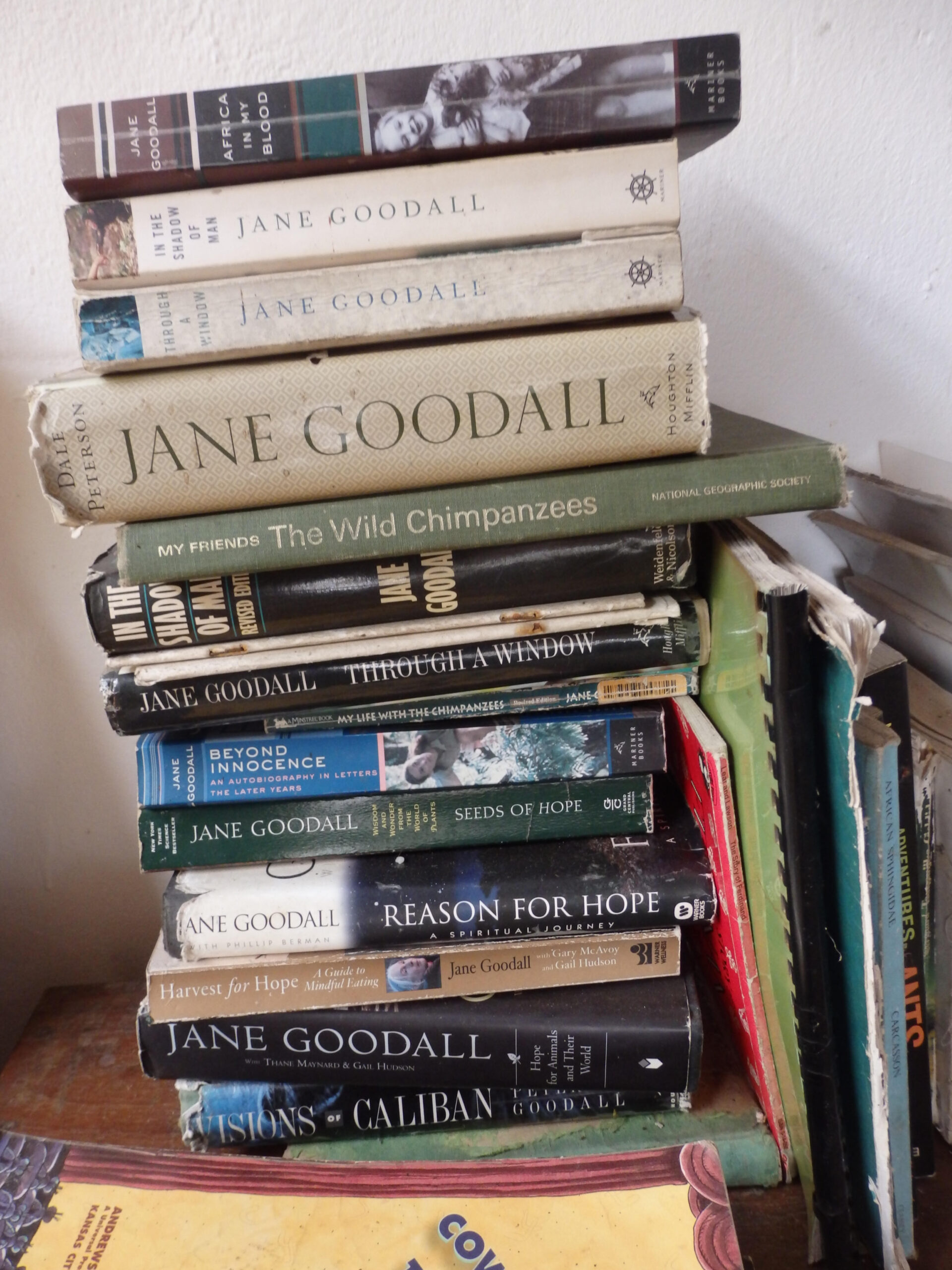 Stack of Jane Goodall books on a shelf.