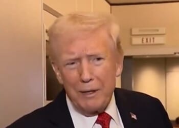 ‘I’m not a king, I work my ass off’