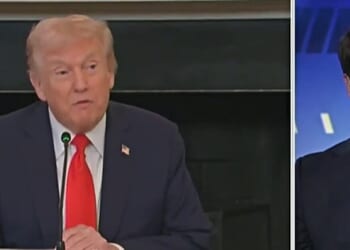 ‘It is funny to watch Trump be a Fox News producer’