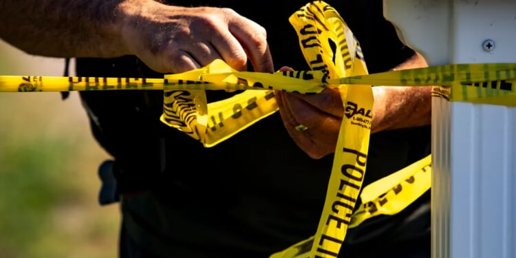 ‘Stall, Recovery!’: Moments Before Deadly Plane Crash Caught On Audio