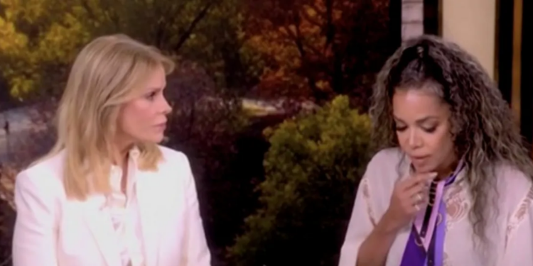 ‘The View’ Co-Hosts Spend Entire Segment Forcing RFK Jr’s Wife Cheryl Hines To Answer For Her Husband