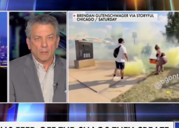 ‘They’re Going To Be Very Embarrassed’: Sol Wisenberg Explains Why Democrats’ ICE Block in Chicago Will Backfire