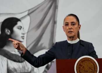 Man touches Mexican president while she spoke with citizens in Mexico City streets