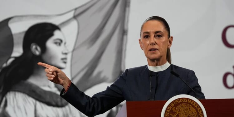 Man touches Mexican president while she spoke with citizens in Mexico City streets