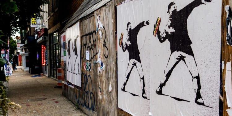 Sean Charles Dunn threw sandwich at federal agent, says it was protest. Prosecutors say it's a crime