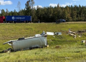 Mississippi pastor kills monkey that escaped from crashed truck; one still on the lam