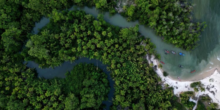 Brazil stumps up billions of dollars for its ambitious rainforest fund at U.N. climate summit