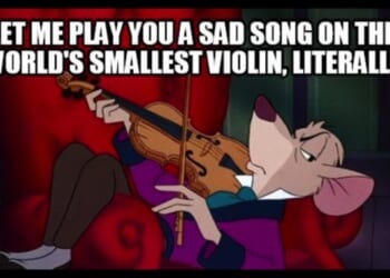 Blue-Check Journo Shares Video of Expensive Smartphone to Rant at Trump Over Her SNAP Balance and HOOBOY – Twitchy