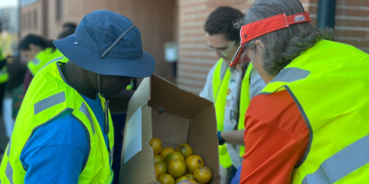 ‘This is our faith in action:’ Catholic groups expand food aid amid SNAP cuts